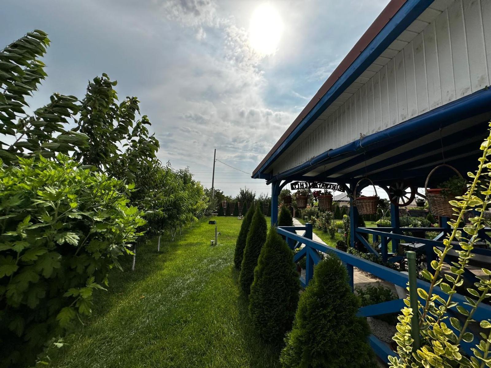 Agropensiuea Casa Uncu Hotel Murighiol Luaran gambar